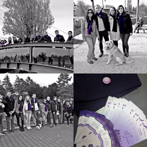 16 noiembrie 2017 - World Pancreatic Cancer Day